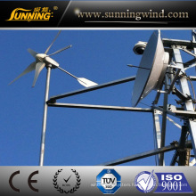 Mini Alternator Wind Turbine 600W